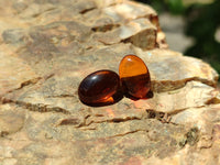 Polished Pair Of Fossilised Baltic Amber Cabochons - Sold Per Pair - From Poland