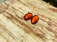 Polished Pair Of Fossilised Baltic Amber Cabochons - Sold Per Pair - From Poland