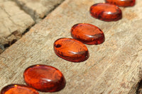 Polished Pair Of Fossilised Baltic Amber Cabochons - Sold Per Pair - From Poland