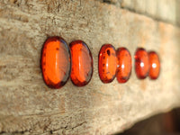 Polished Pair Of Fossilised Baltic Amber Cabochons - Sold Per Pair - From Poland