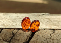 Polished Pair Of Fossilised Baltic Amber Cabochons - Sold Per Pair - From Poland