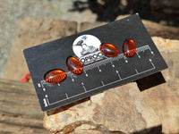 Polished Pair Of Fossilised Baltic Amber Cabochons - Sold Per Pair - From Poland