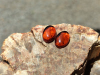 Polished Pair Of Fossilised Baltic Amber Cabochons - Sold Per Pair - From Poland