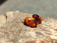 Polished Pair Of Fossilised Baltic Amber Cabochons - Sold Per Pair - From Poland