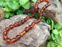 Polished Fossilised Baltic Amber Necklace - Sold Per Item - From Poland