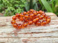 Polished Fossilised Baltic Amber Necklace - Sold Per Item - From Poland