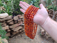 Polished Fossilised Baltic Amber Necklace - Sold Per Item - From Poland