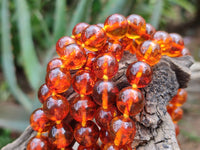 Polished Fossilised Baltic Amber Necklace - Sold Per Item - From Poland