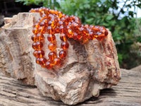 Polished Fossilised Baltic Amber Necklace - Sold Per Item - From Poland