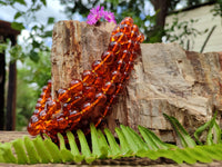 Polished Fossilised Baltic Amber Necklace - Sold Per Item - From Poland