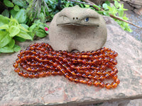 Polished Fossilised Baltic Amber Necklace - Sold Per Item - From Poland