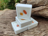 Polished Fossilised Insects In Baltic Amber Display Box - Sold Per Box - From Poland