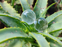 Polished Mini Clear Crystal Balls - Sold Per Item - From Madagascar