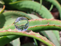 Polished Mini Clear Crystal Balls - Sold Per Item - From Madagascar