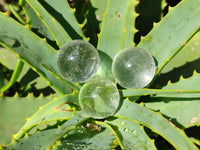 Polished Mini Clear Crystal Balls - Sold Per Item - From Madagascar