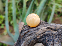 Polished Mini Honey Aragonite Sphere-Balls - Sold Per Item - From Ais-Ais Namibia