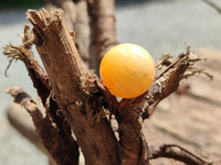 Polished Mini Honey Aragonite Sphere-Balls - Sold Per Item - From Ais-Ais Namibia