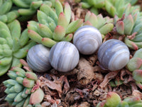 Polished Mini Banded Agate Sphere-Balls - Sold Per Item - From Botswana