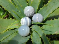 Polished Mini Banded Agate Sphere-Balls - Sold Per Item - From Botswana