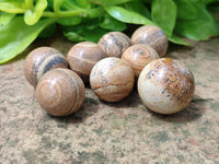 Polished Mini Namibian Desert Picture Stone Jasper Sphere-Balls - Sold Per Item - From Ais-Ais Namibia