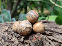 Polished Mini Namibian Desert Picture Stone Jasper Sphere-Balls - Sold Per Item - From Ais-Ais Namibia