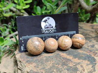 Polished Mini Namibian Desert Picture Stone Jasper Sphere-Balls - Sold Per Item - From Ais-Ais Namibia