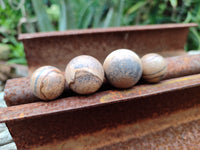 Polished Mini Namibian Desert Picture Stone Jasper Sphere-Balls - Sold Per Item - From Ais-Ais Namibia