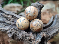 Polished Mini Namibian Desert Picture Stone Jasper Sphere-Balls - Sold Per Item - From Ais-Ais Namibia