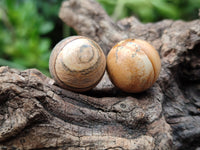 Polished Mini Namibian Desert Picture Stone Jasper Sphere-Balls - Sold Per Item - From Ais-Ais Namibia