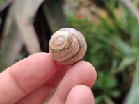 Polished Mini Namibian Desert Picture Stone Jasper Sphere-Balls - Sold Per Item - From Ais-Ais Namibia