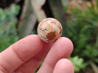 Polished Mini Namibian Desert Picture Stone Jasper Sphere-Balls - Sold Per Item - From Ais-Ais Namibia