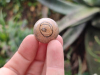 Polished Mini Namibian Desert Picture Stone Jasper Sphere-Balls - Sold Per Item - From Ais-Ais Namibia