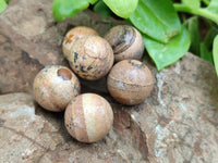 Polished Mini Namibian Desert Picture Stone Jasper Sphere-Balls - Sold Per Item - From Ais-Ais Namibia