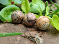 Polished Mini Namibian Desert Picture Stone Jasper Sphere-Balls - Sold Per Item - From Ais-Ais Namibia