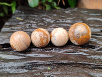 Polished Mini Namibian Desert Picture Stone Jasper Sphere-Balls - Sold Per Item - From Ais-Ais Namibia