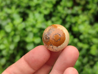 Polished Mini Namibian Desert Picture Stone Jasper Sphere-Balls - Sold Per Item - From Ais-Ais Namibia