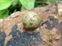 Polished Mini Unakite Sphere-Balls - Sold Per Item - From Messina, South Africa