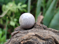 Polished Mini White Ocean Jasper Sphere-Balls - Sold Per Item - From Madagascar