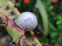 Polished Mini White Ocean Jasper Sphere-Balls - Sold Per Item - From Madagascar