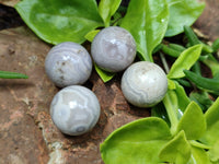 Polished Mini White Ocean Jasper Sphere-Balls - Sold Per Item - From Madagascar