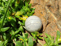 Polished Mini White Ocean Jasper Sphere-Balls - Sold Per Item - From Madagascar