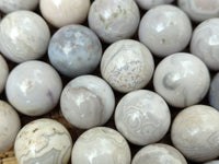 Polished Mini White Ocean Jasper Sphere-Balls - Sold Per Item - From Madagascar