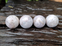 Polished Mini White Ocean Jasper Sphere-Balls - Sold Per Item - From Madagascar