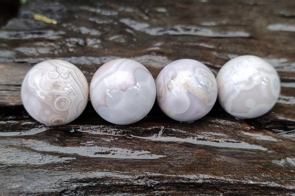 Polished Mini White Ocean Jasper Sphere-Balls - Sold Per Item - From Madagascar