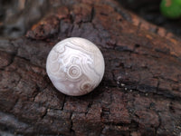 Polished Mini White Ocean Jasper Sphere-Balls - Sold Per Item - From Madagascar