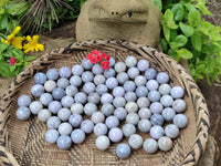 Polished Mini White Ocean Jasper Sphere-Balls - Sold Per Item - From Madagascar