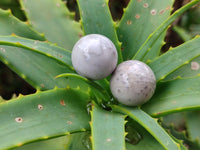 Polished Mini White Ocean Jasper Sphere-Balls - Sold Per Item - From Madagascar