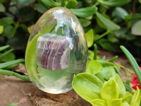 Polished Watermelon Fluorite Egg In Resin - Sold Per Item - From Uis, Namibia