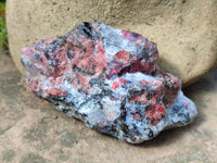 Natural Rhodonite Cobbed Specimens x 6 From Zimbabwe