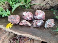 Natural Rhodonite Cobbed Specimens x 6 From Zimbabwe